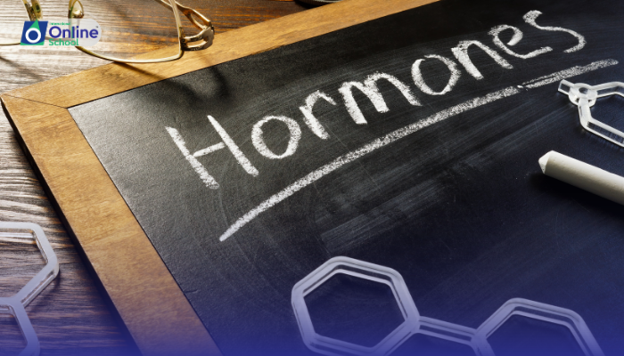 Lesson 09: Functions of Hormones Secreted by Other Endocrine Tissues